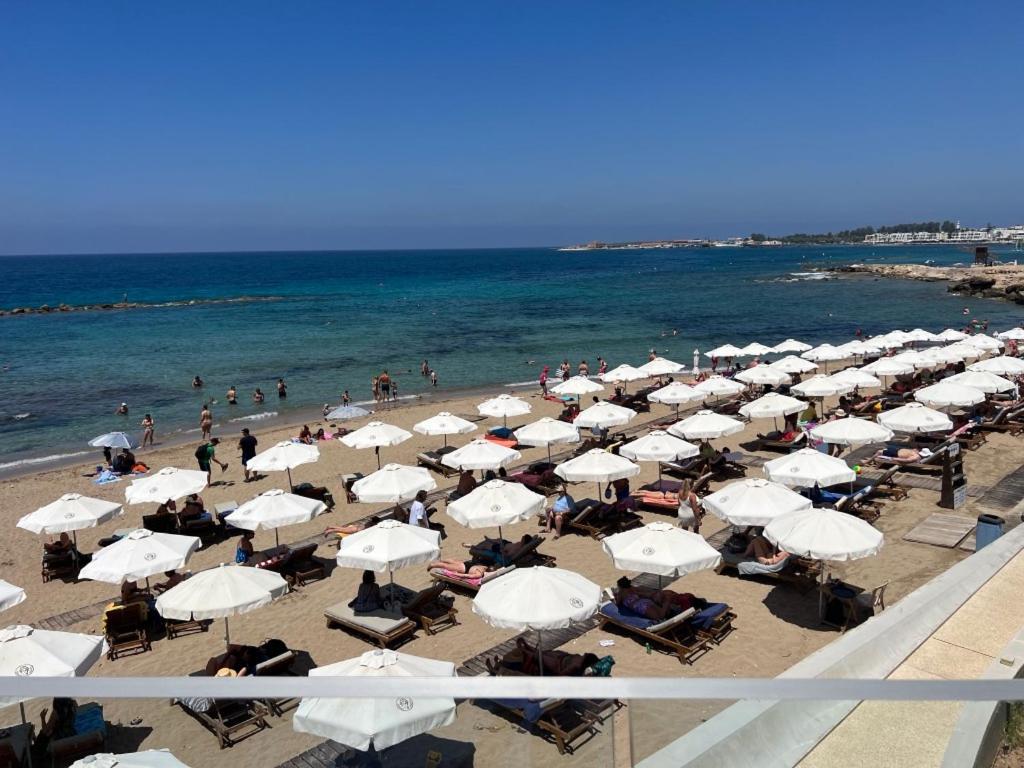 Modern 2Br Apartment With Pool, Veranda & Garden In Paphos Esterno foto